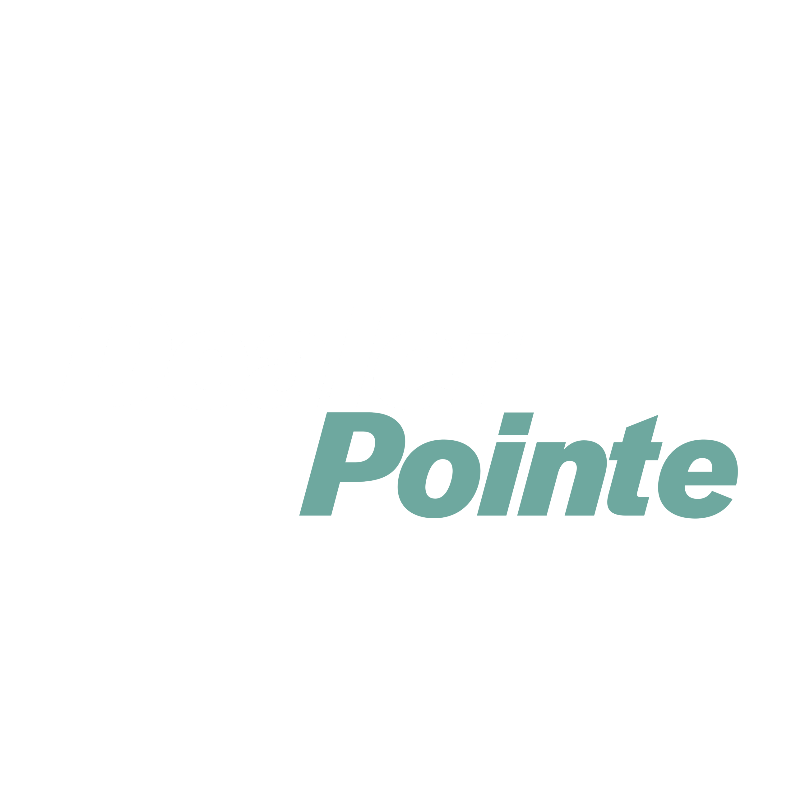 DealerPointe Logo